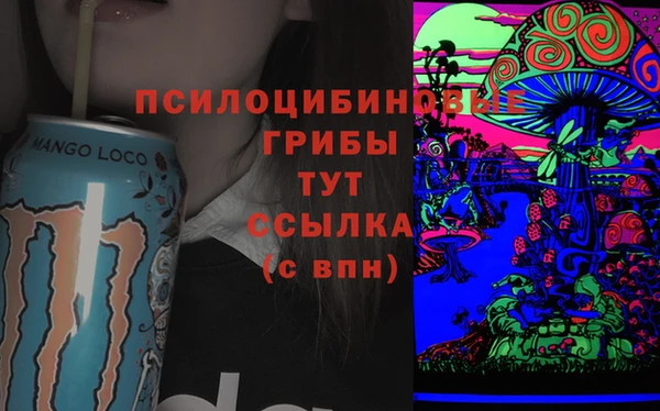 молекула духа Дмитровск