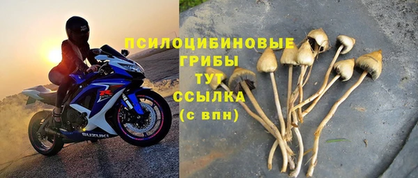 молекула духа Дмитровск