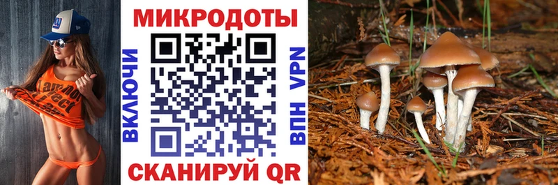 Псилоцибиновые грибы GOLDEN TEACHER  Рудня 